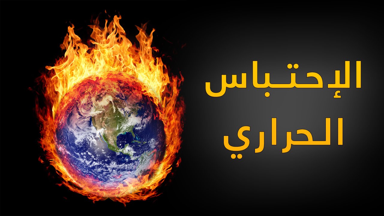 صورة المقال