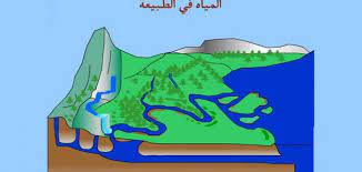 صورة المقال