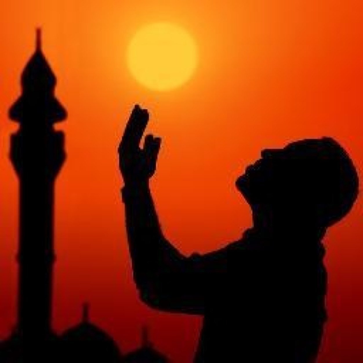 صورة المقال