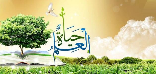 صورة المقال