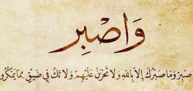 صورة المقال