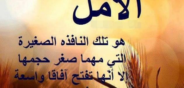 صورة المقال