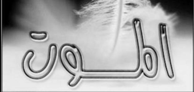 صورة المقال