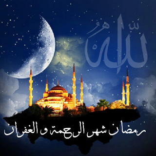 صورة المقال