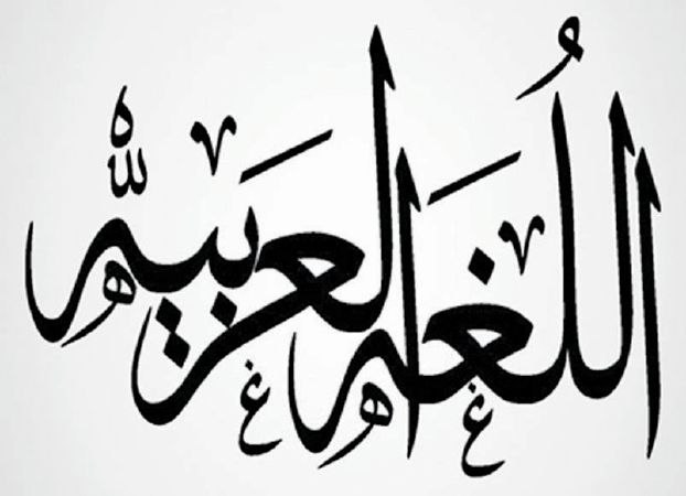 صورة المقال
