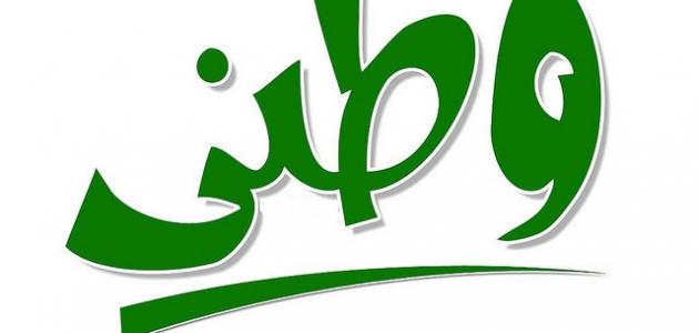 صورة المقال