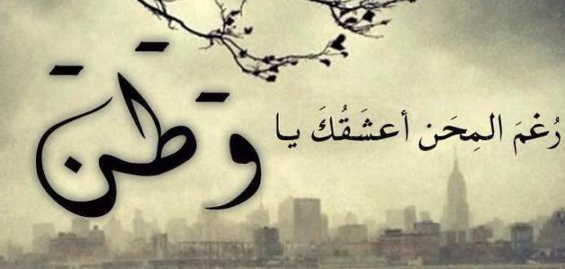 صورة المقال