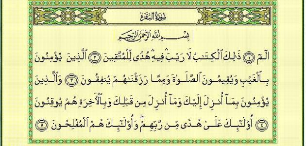 صورة المقال