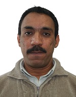 صورة المقال