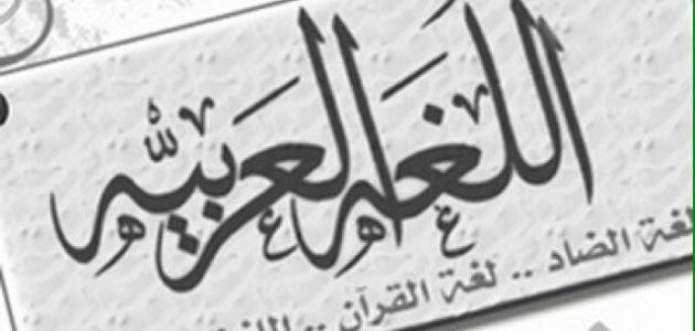 صورة المقال