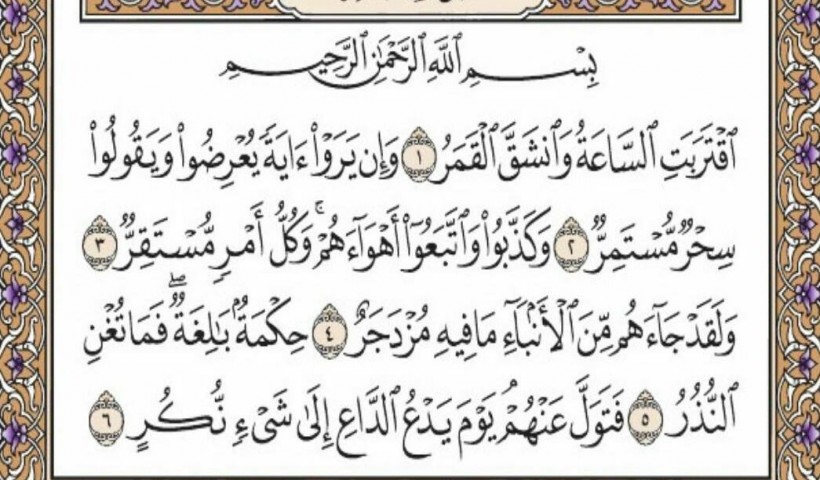 صورة المقال