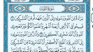 صورة المقال