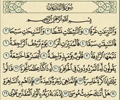 صورة المقال