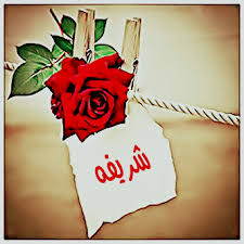 صورة المقال