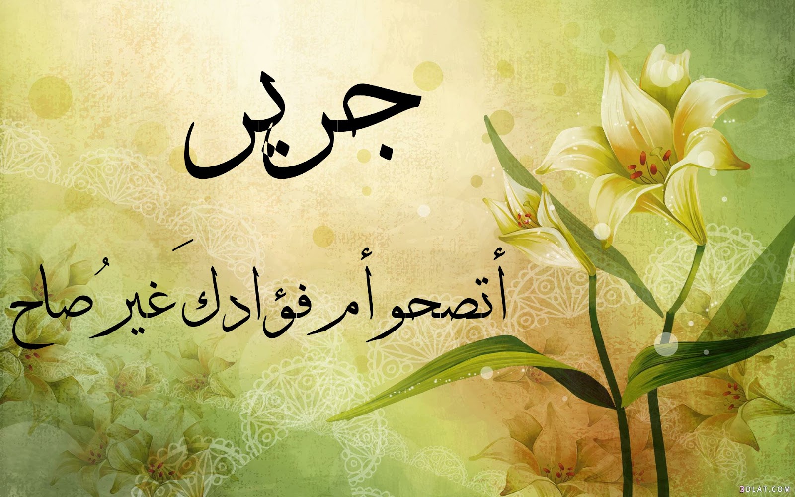صورة المقال