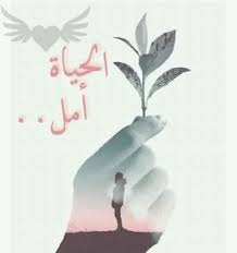 صورة المقال