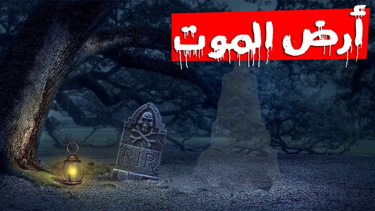 صورة المقال