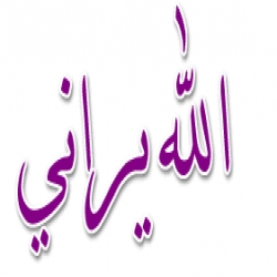 صورة المقال