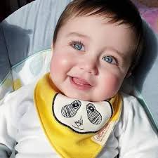صورة المقال