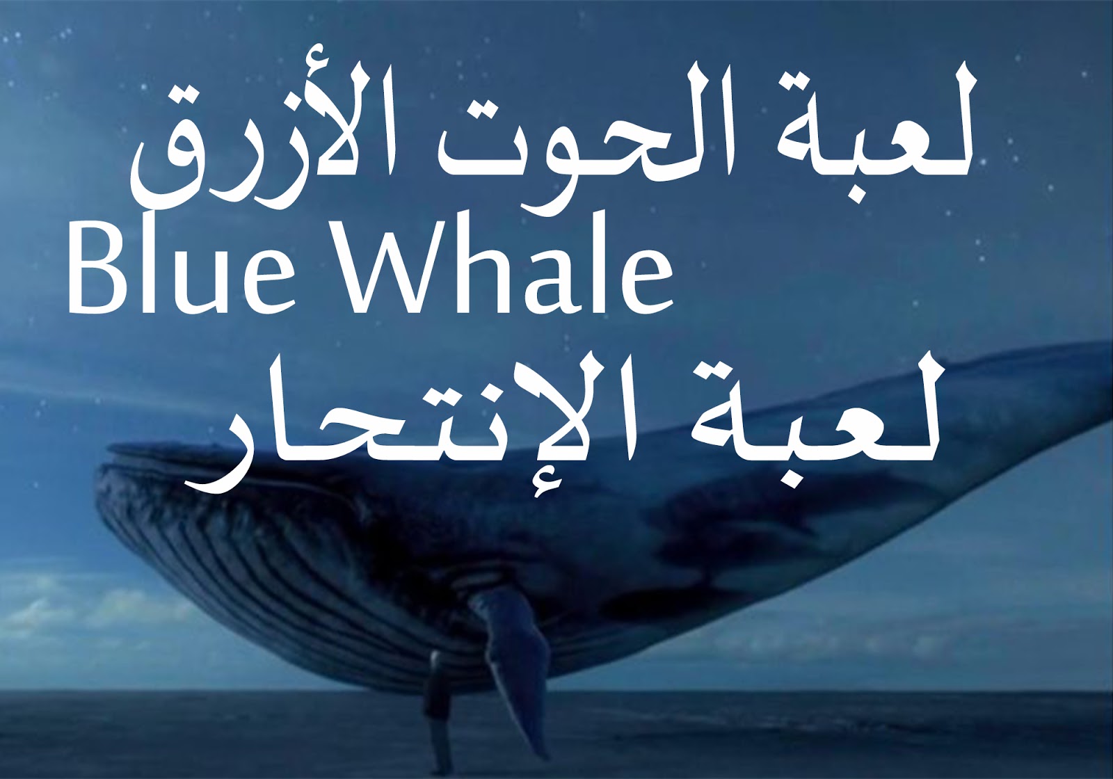 صورة المقال