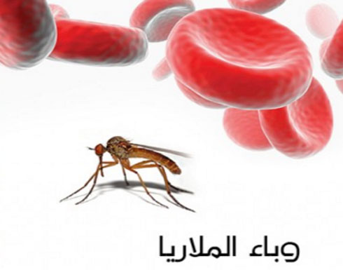 صورة المقال