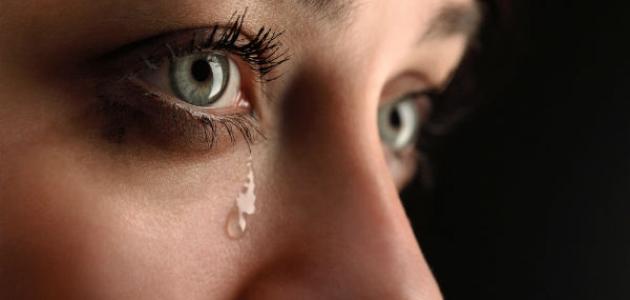صورة المقال