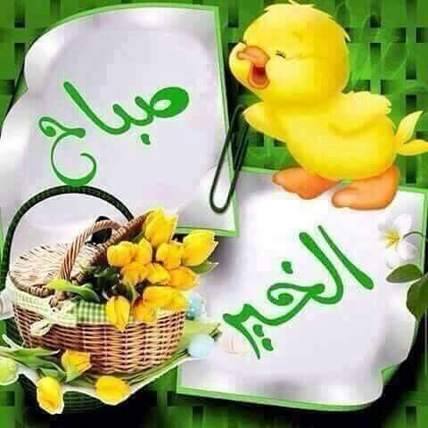 صورة المقال