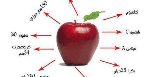 صورة المقال