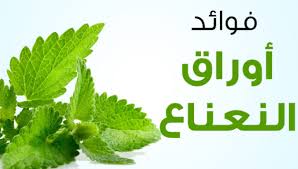 صورة المقال