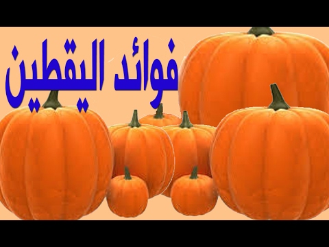 صورة المقال