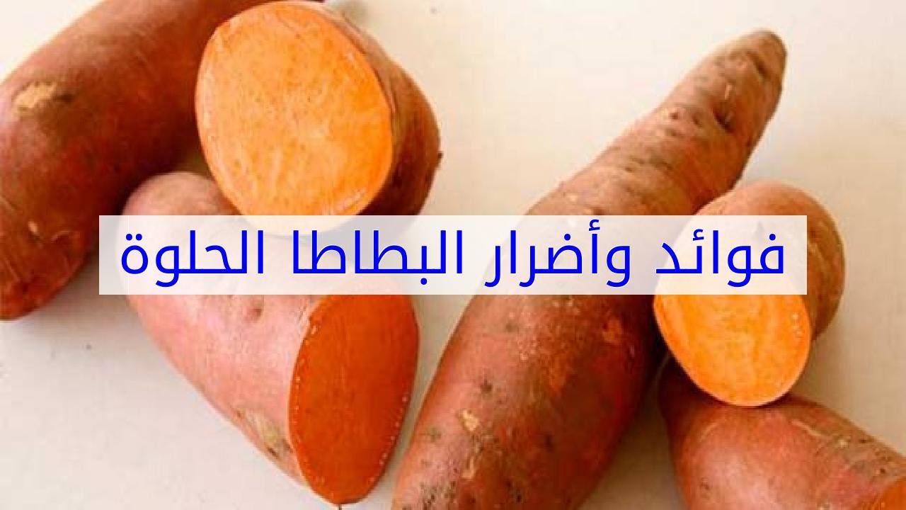 صورة المقال