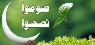 صورة المقال