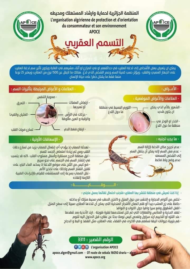 صورة المقال